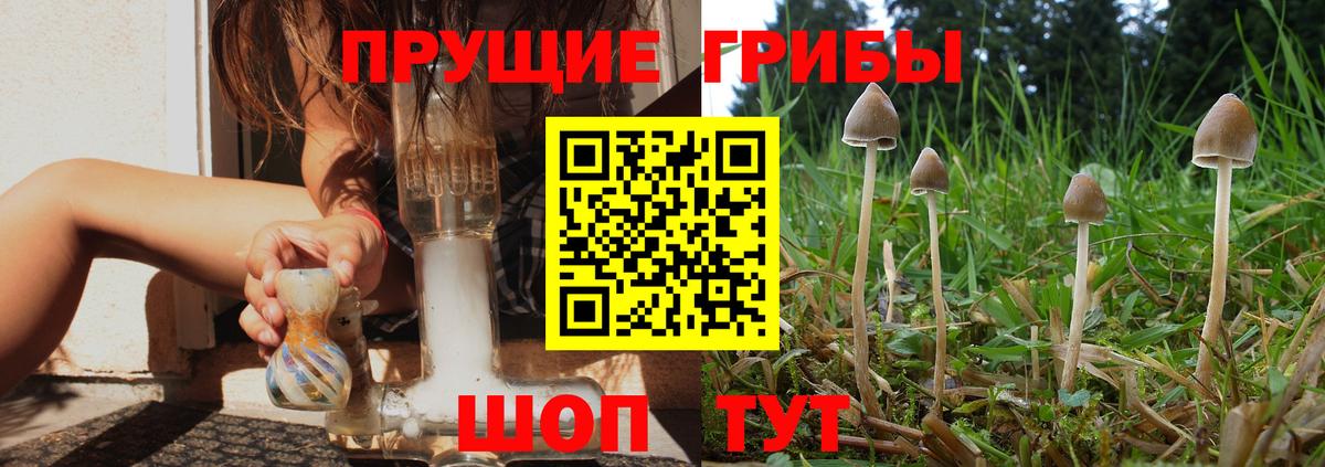 Псилоцибиновые грибы прущие грибы  Псилоцибиновые грибы ЛСД  Вход с VPN  Аргун 