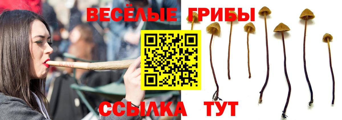 Псилоцибиновые грибы GOLDEN TEACHER Аргун