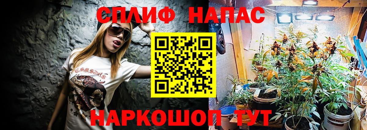 Бошки марихуана индика  Вход с VPN  Бошки Шишки план  Аргун 